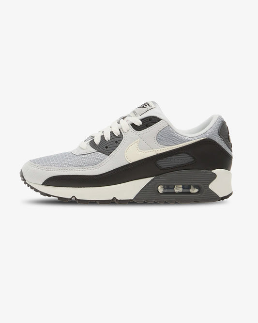 Nike Air Max 90 Iron Grey/Photon Dust